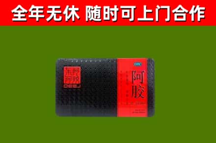五华区回收阿胶